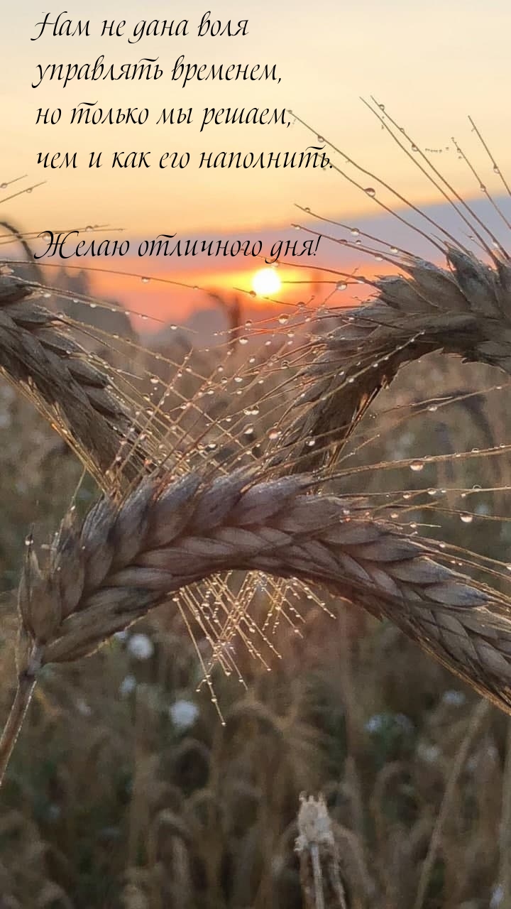 Желаю отличного дня! Нам не дана воля управлять временем
