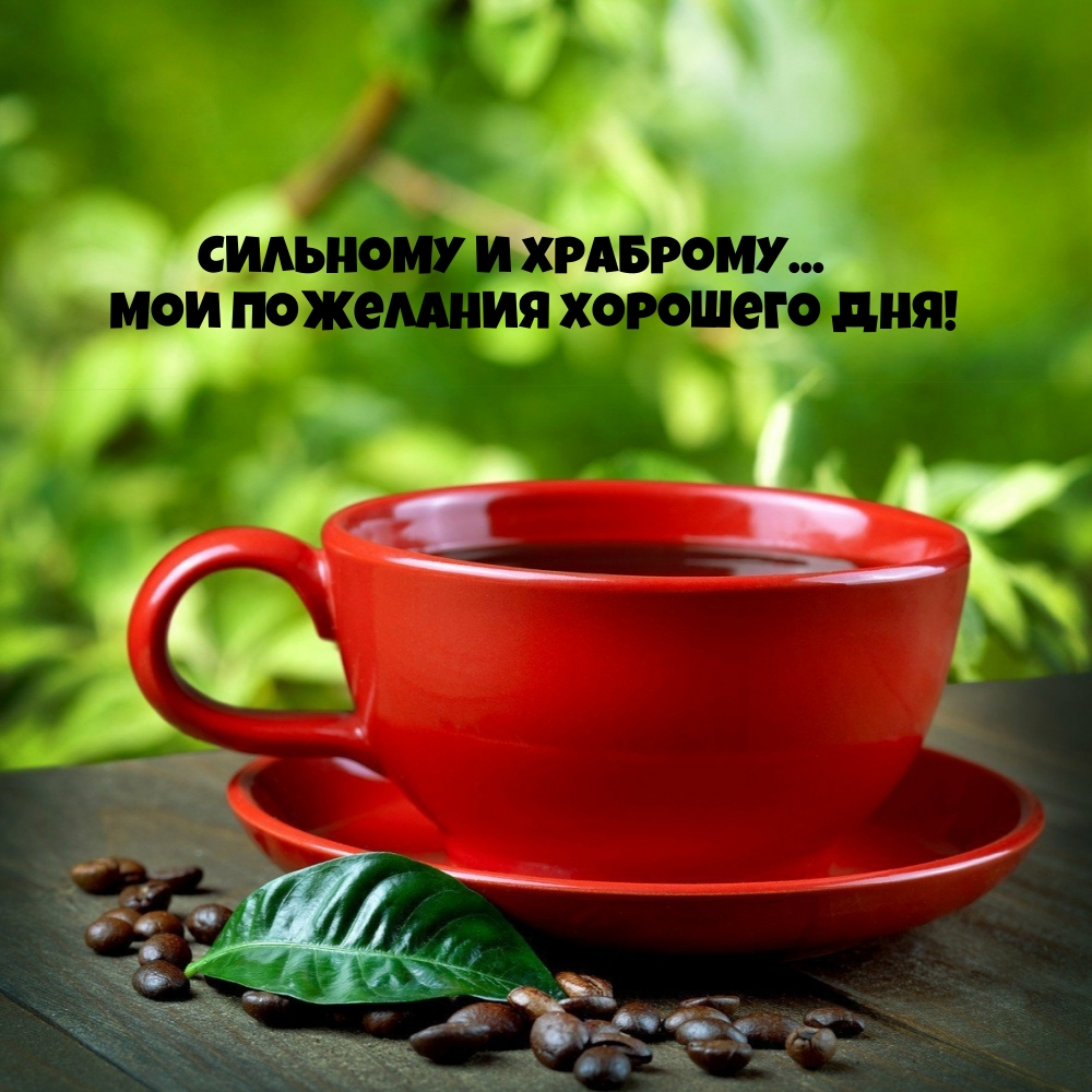 Сильному и храброму… Мои пожелания хорошего дня!