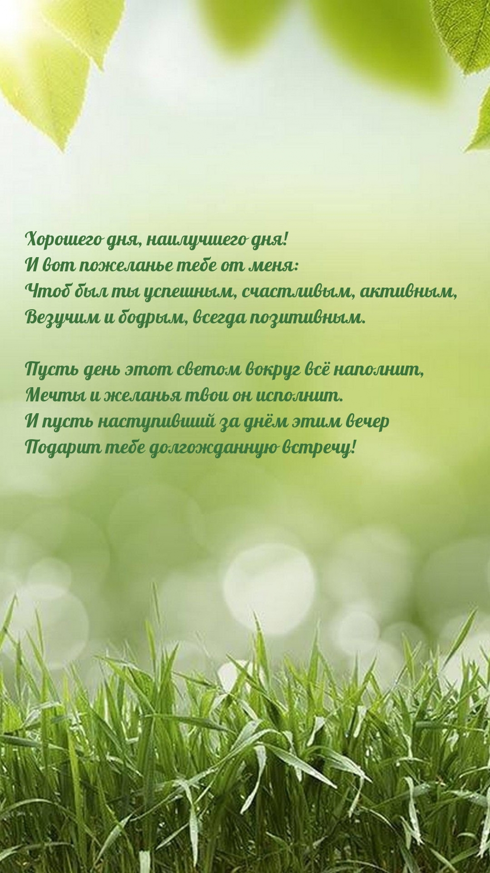 Хорошего дня, наилучшего дня! И вот пожеланье тебе от меня