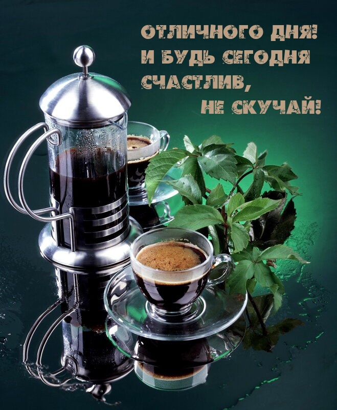 Отличного Дня! И будь сегодня счастлив, не скучай!