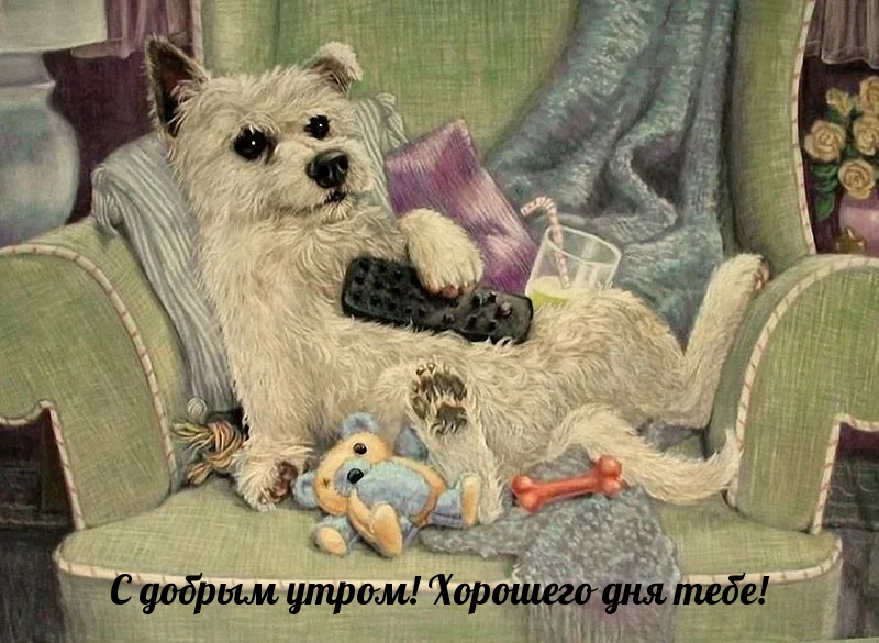 С добрым утром! Хорошего дня тебе!