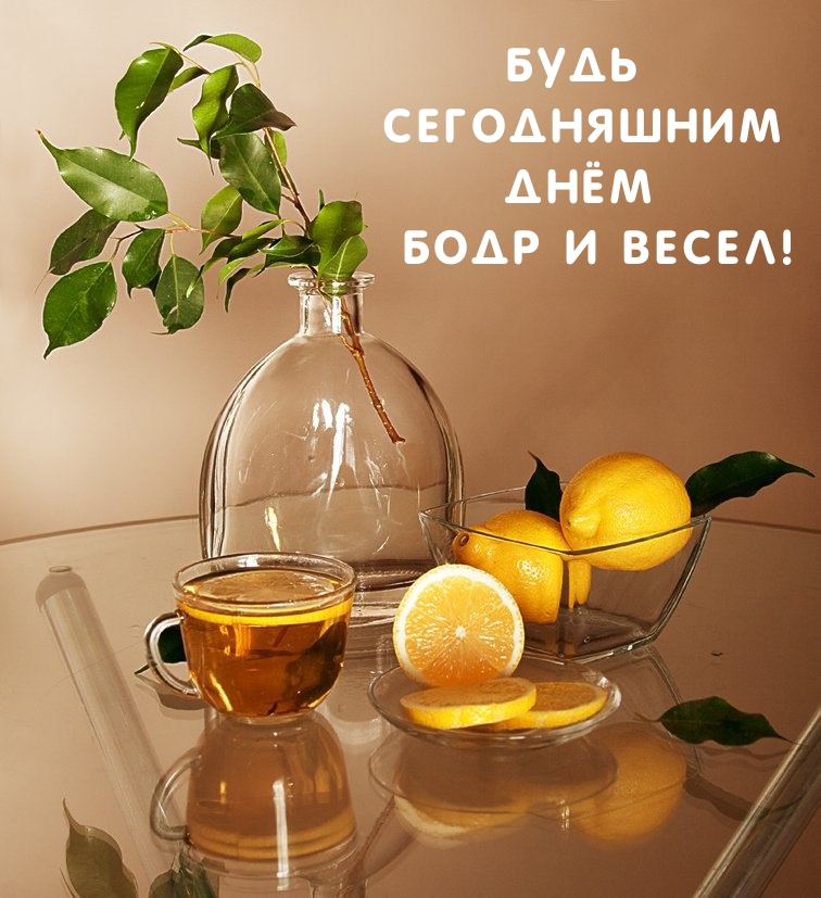 Будь сегодняшним Днём Бодр и Весел!