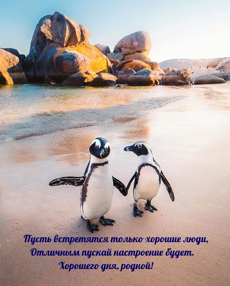 Отличным пускай настроение будет. Хорошего дня, родной!