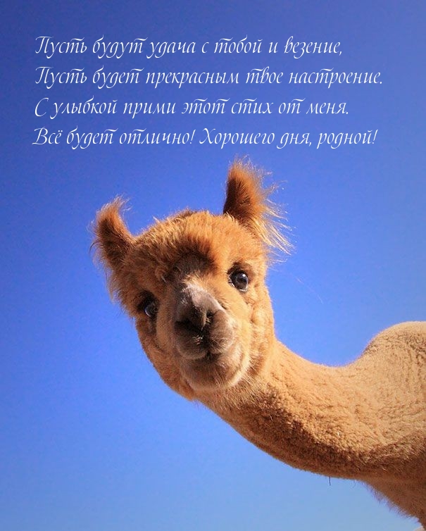 Всё будет отлично! Хорошего дня, родной!