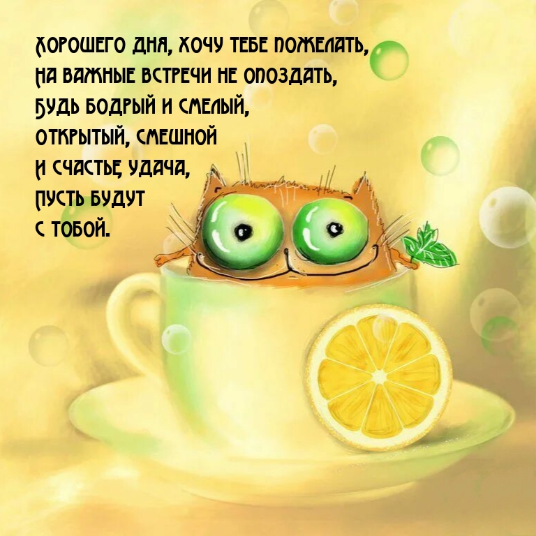 Хорошего дня, хочу тебе пожелать, на важные встречи не опоздать