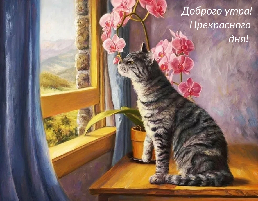 Доброго утра! Прекрасного дня!