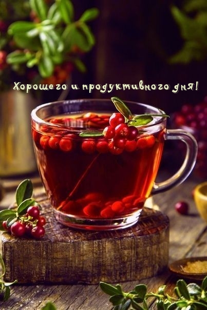 Хорошего и продуктивного дня!