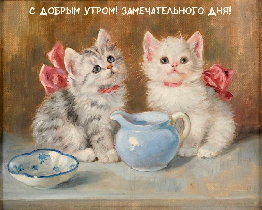 С добрым утром! Замечательного дня!