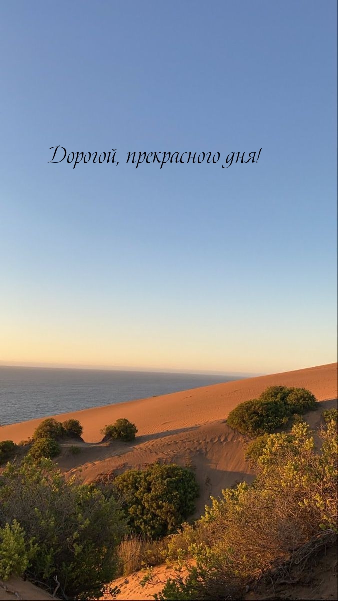 Дорогой, прекрасного дня!