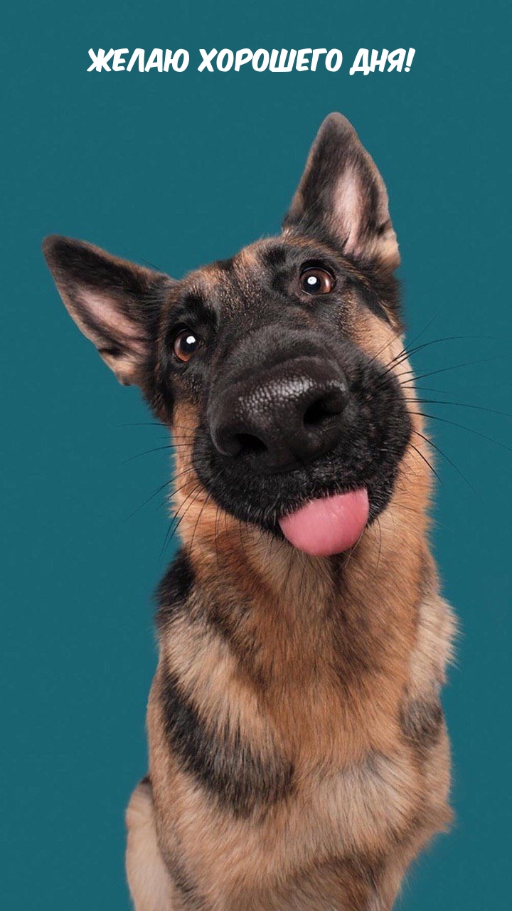 Желаю хорошего дня!