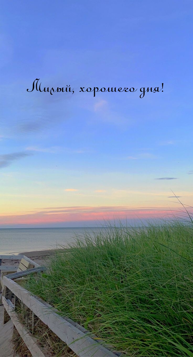 Милый, хорошего дня!