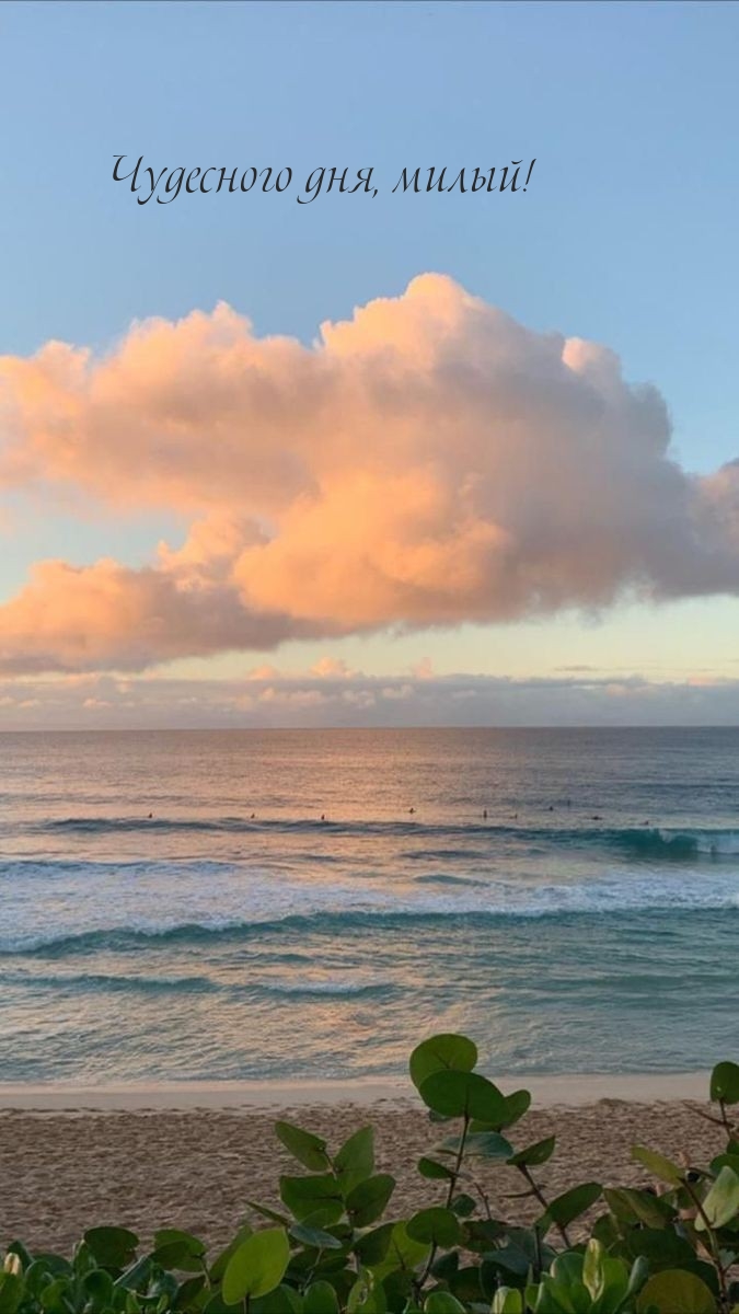 Чудесного дня, милый!