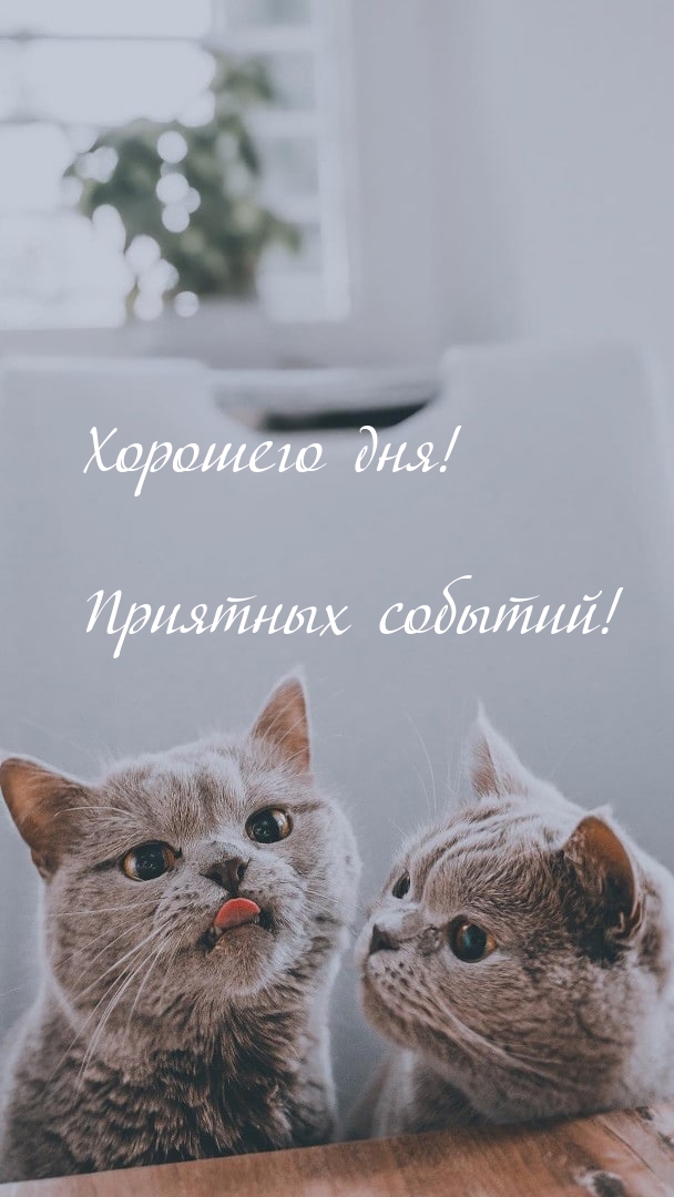 Хорошего дня! Приятных событий!