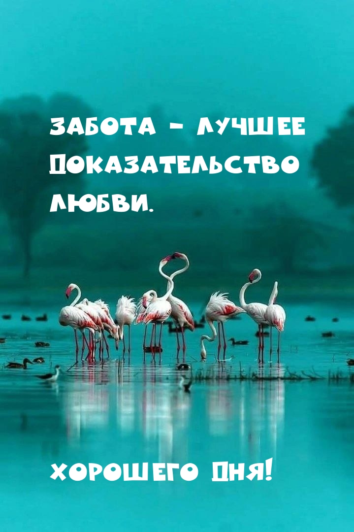 ЗАБОТА — лучшее доказательство любви. Хорошего дня!