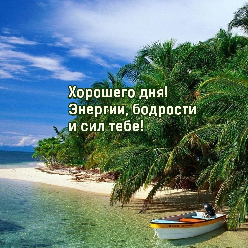 Хорошего дня! Энергии, бодрости и сил тебе!