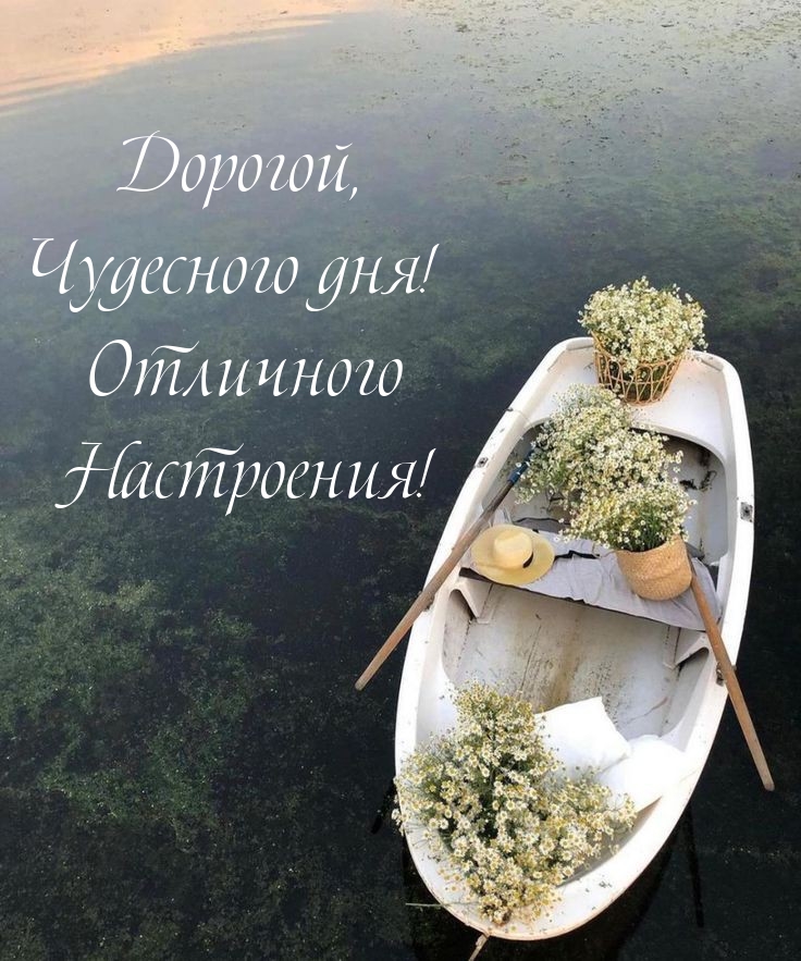Дорогой, Чудесного дня! Отличного Настроения!