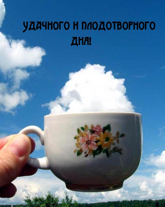 Удачного и плодотворного дня!