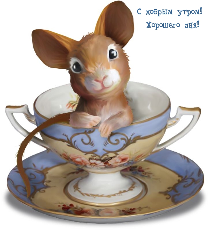 С добрым утром! Хорошего дня!