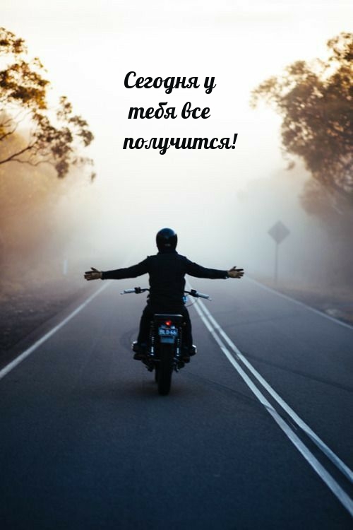 Сегодня у тебя все получится!