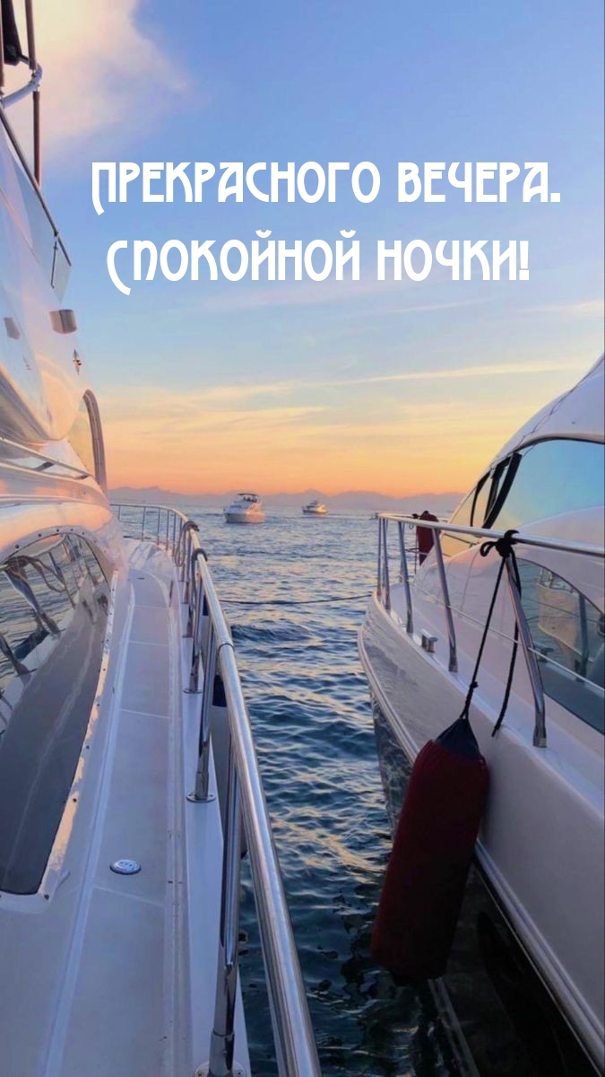 Прекрасного вечера. Спокойной ночки!