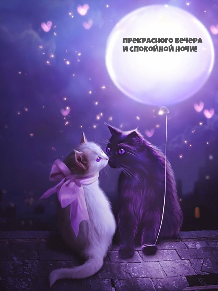 Прекрасного вечера и спокойной ночи!