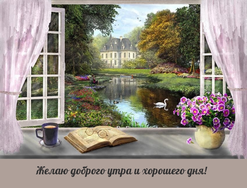 Желаю доброго утра и хорошего дня!