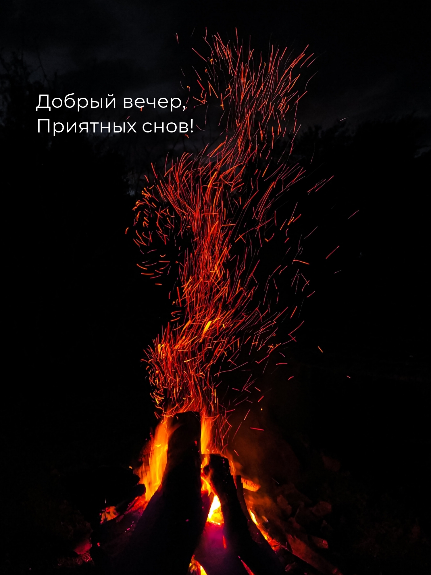 Добрый вечер, Приятных снов!