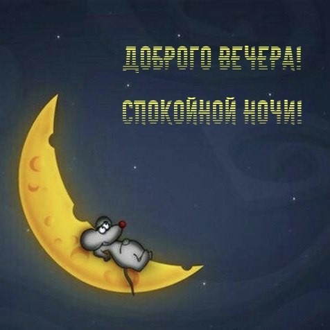 Доброго вечера! Спокойной ночи!