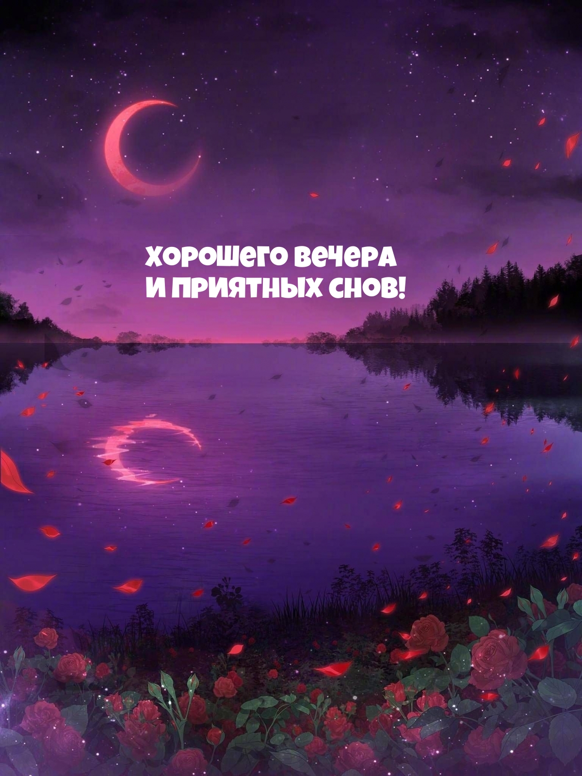 Хорошего вечера и приятных снов!