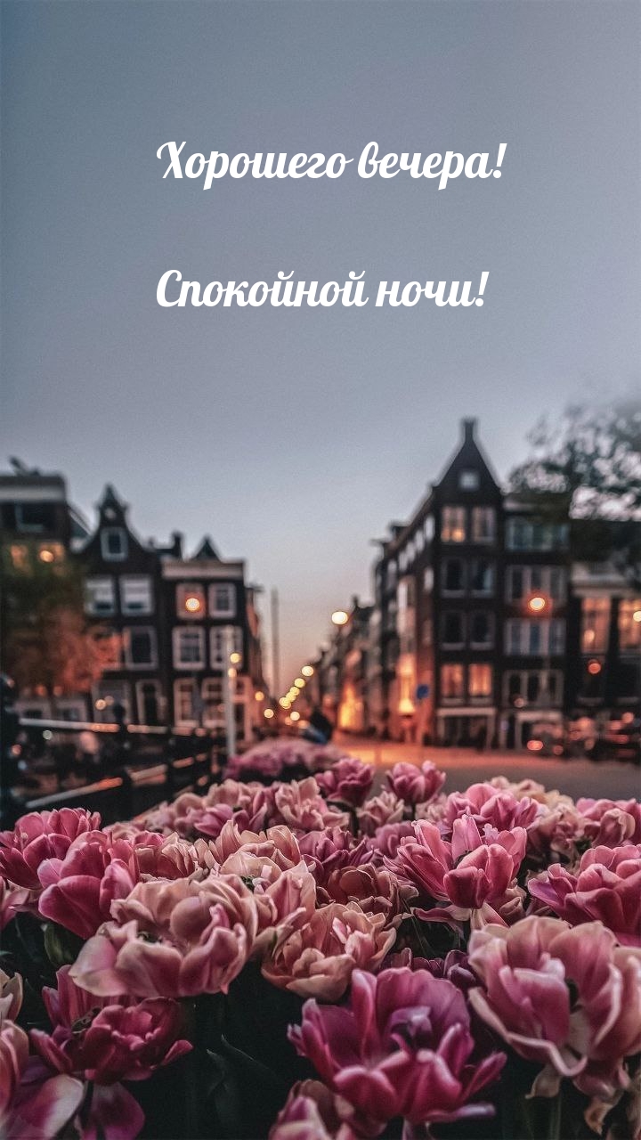 Хорошего вечера! Спокойной ночи!