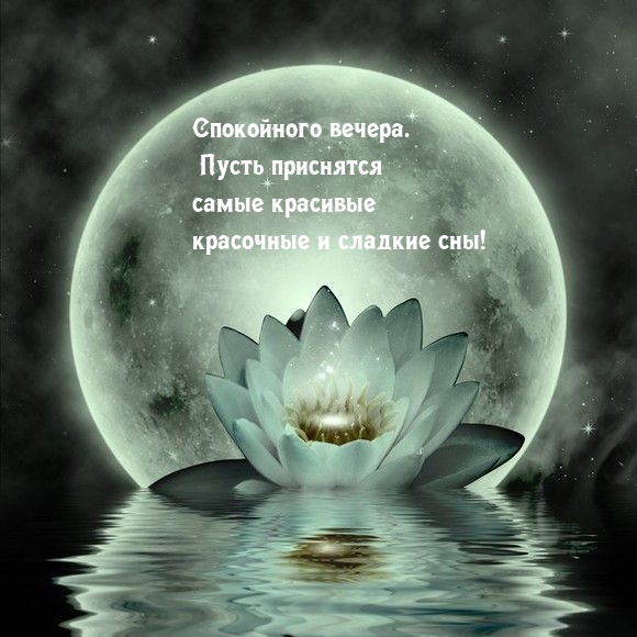 Спокойного вечера. Пусть приснятся самые сладкие сны!