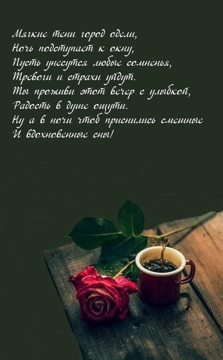 Мягкие тени город одели, ночь подступает к окну