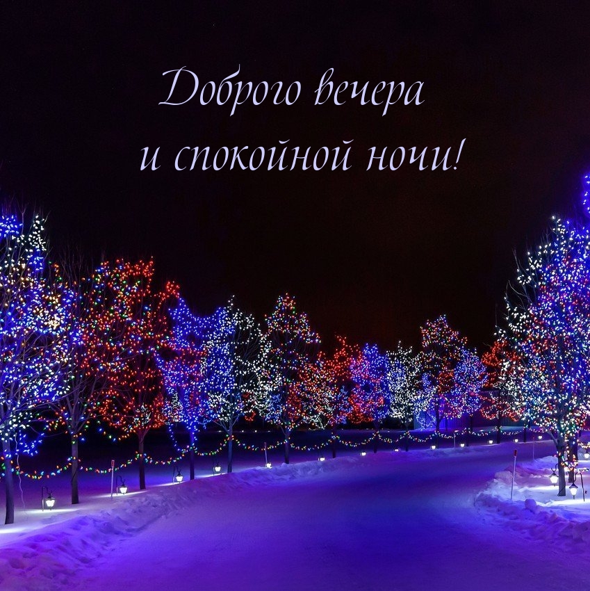 Доброго вечера и спокойной ночи!
