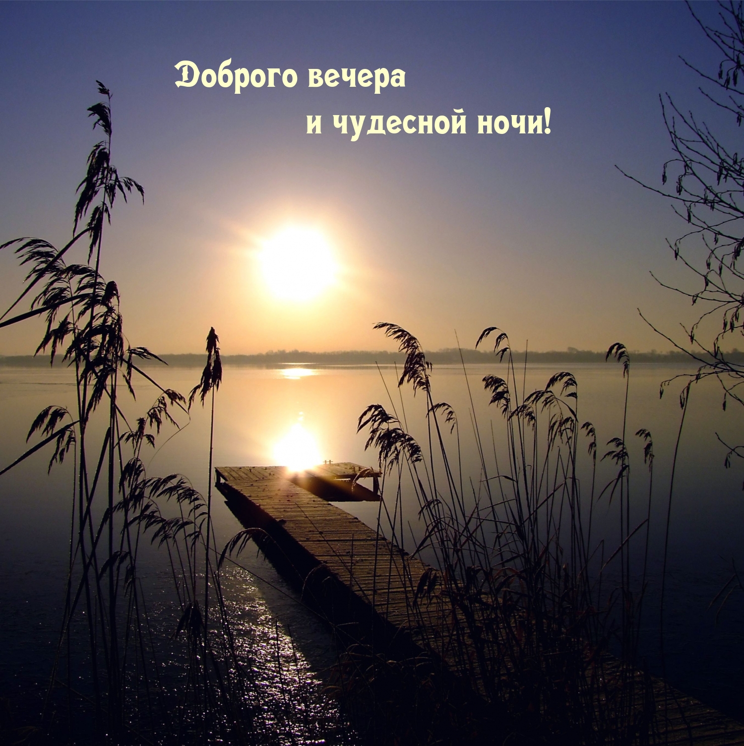 Доброго вечера и чудесной ночи!
