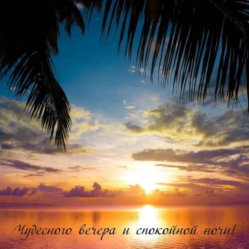 Чудесного вечера и спокойной ночи!