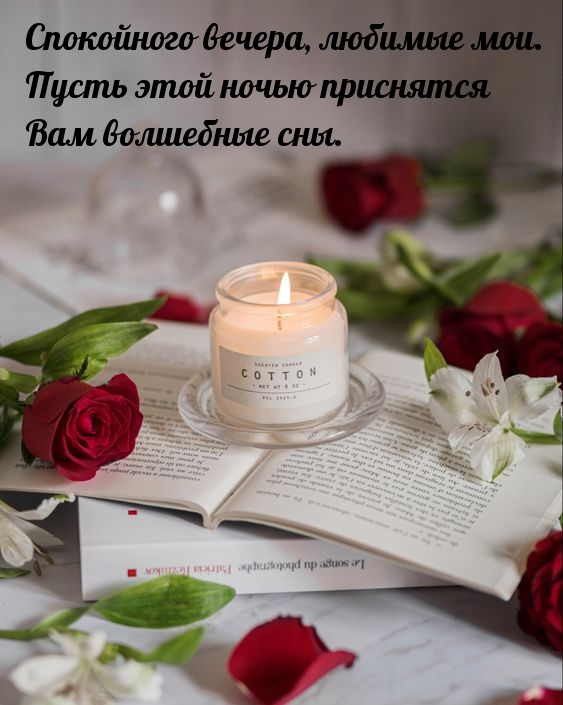 Спокойного вечера Пусть этой ночью приснятся Вам волшебные сны.