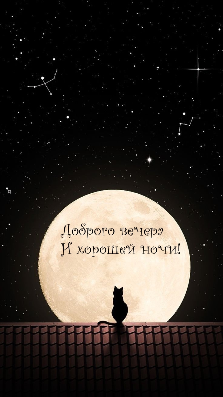 Доброго вечера и хорошей ночи!