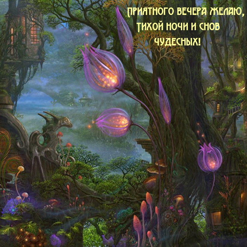 Приятного вечера желаю, Тихой ночи и снов чудесных!
