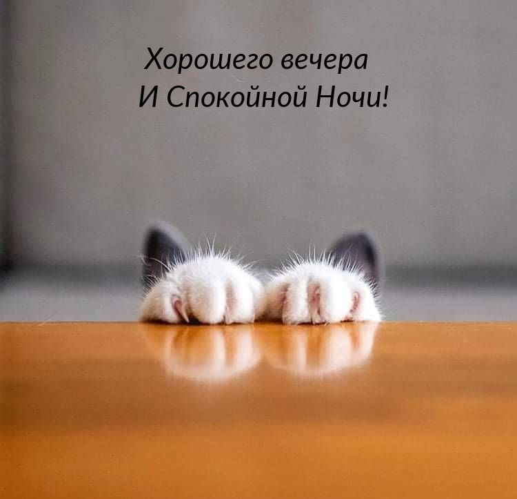 Хорошего вечера И Спокойной Ночи!