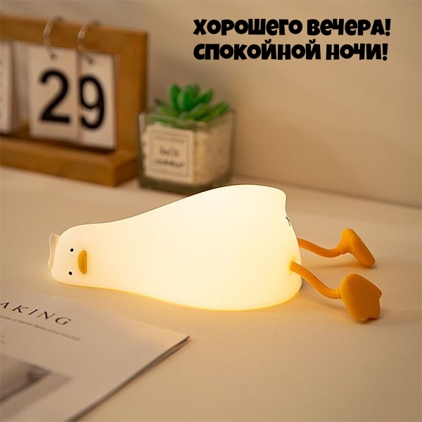 Хорошего вечера! Спокойной ночи!