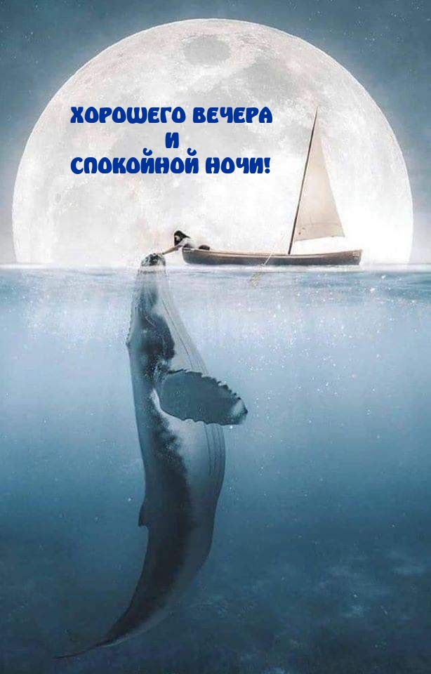 Хорошего вечера и спокойной ночи!