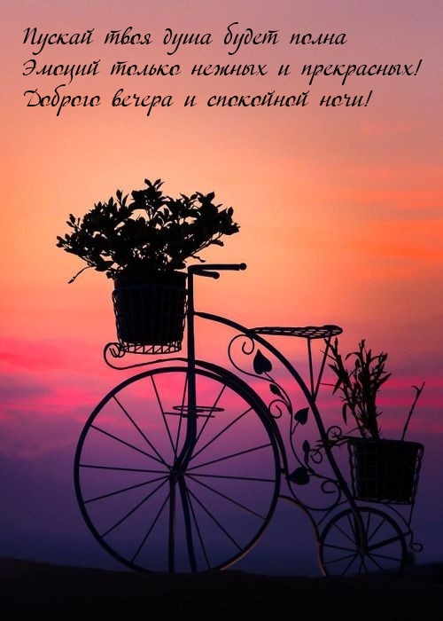 Доброго вечера и спокойной ночи!
