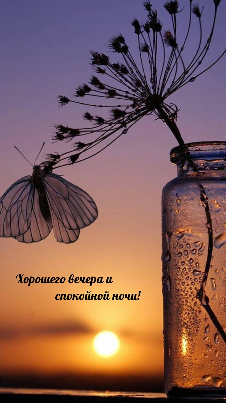 Хорошего вечера и спокойной ночи!