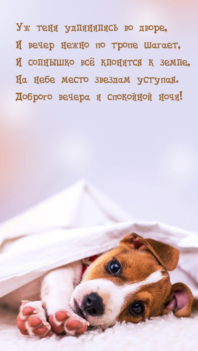 Спокойной ночи! Вечер нежно по тропе шагает