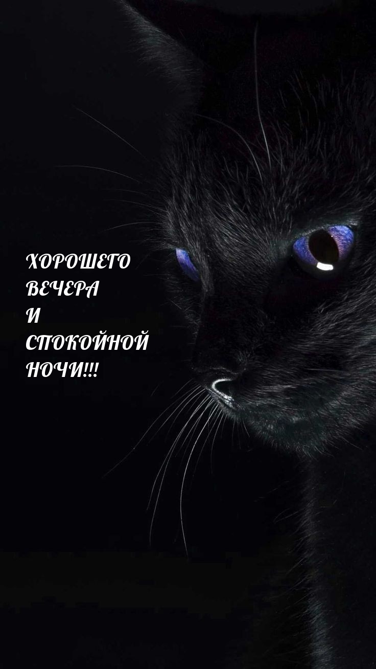 Хорошего вечера и спокойной ночи!