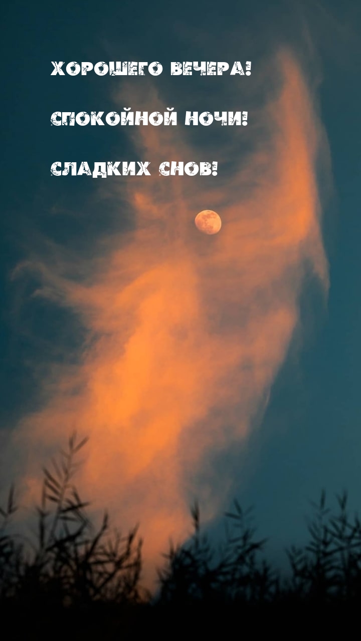 Хорошего вечера! Спокойной ночи! Сладких снов!