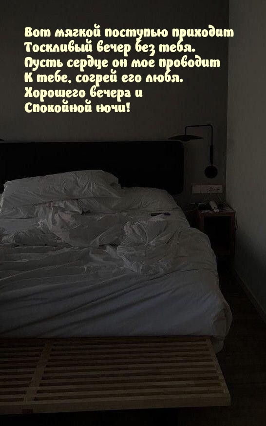 Хорошего вечера и Спокойной ночи!