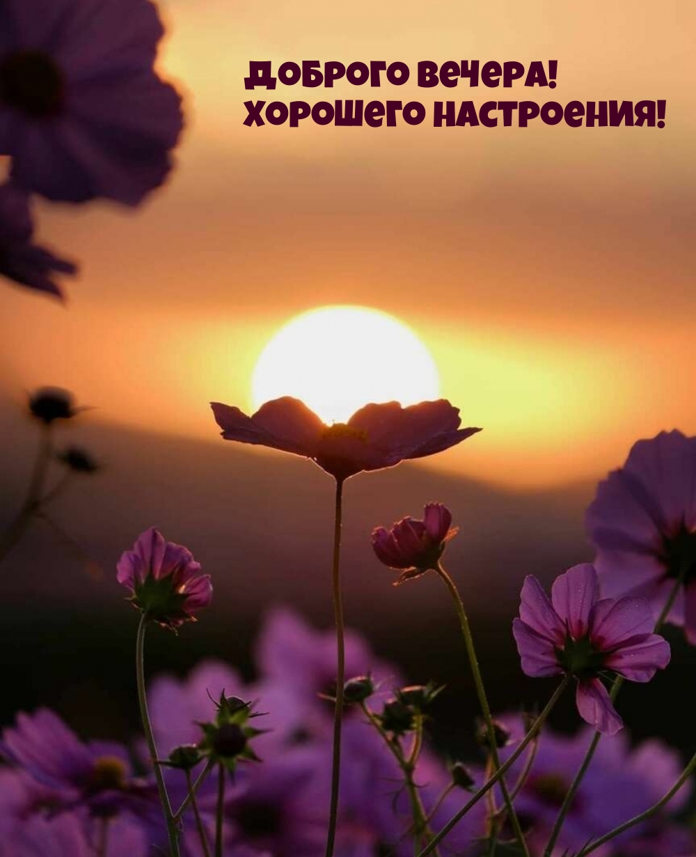 Доброго вечера! Хорошего настроения!