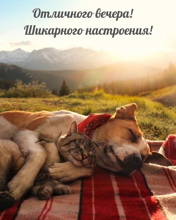 Отличного вечера! Шикарного настроения!
