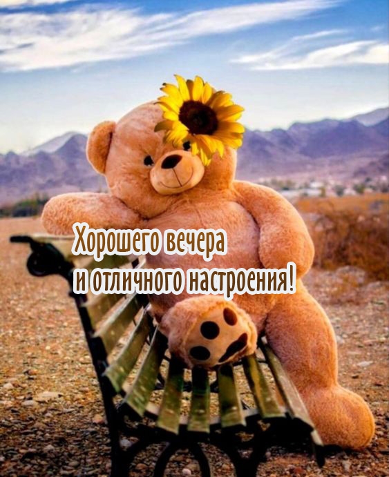 Хорошего вечера и отличного настроения!